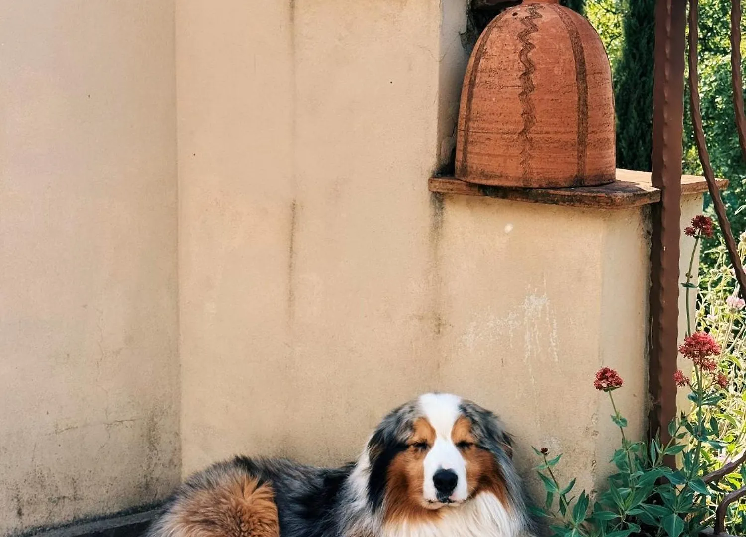 Bed and Breakfast A Casa Da Agata Лоро-Чуффенна Италия
